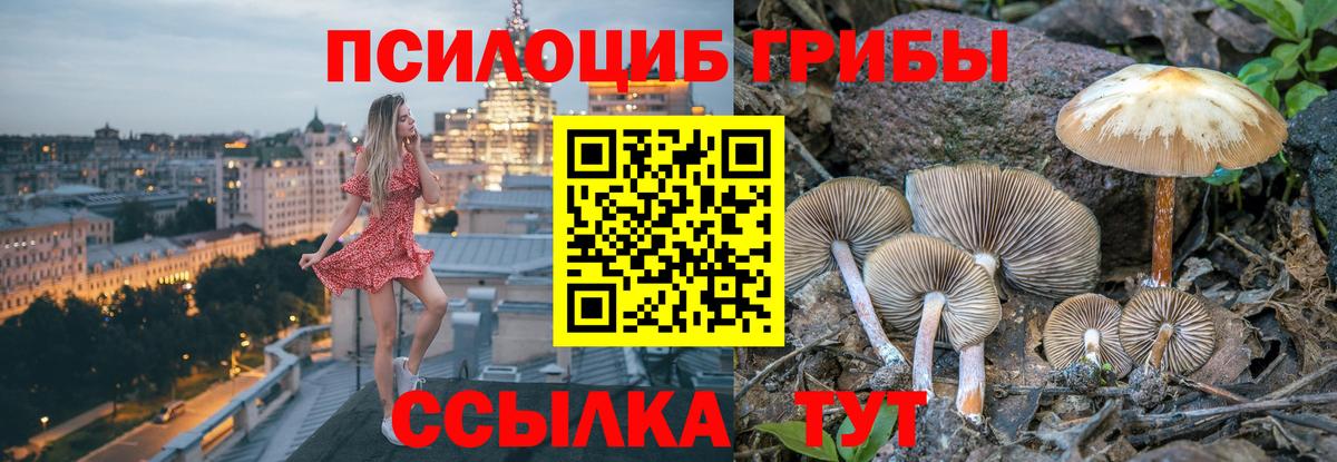 Псилоцибиновые грибы Magic Shrooms Ржев