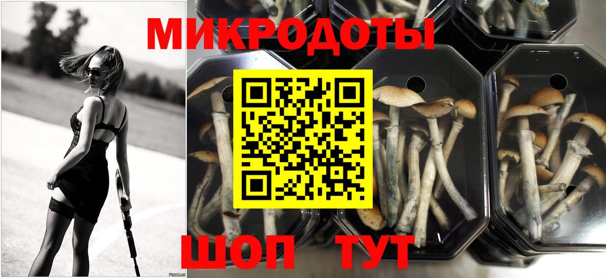 хочу   Галлюциногенные грибы Psilocybine cubensis  Вход с VPN  Ржев 